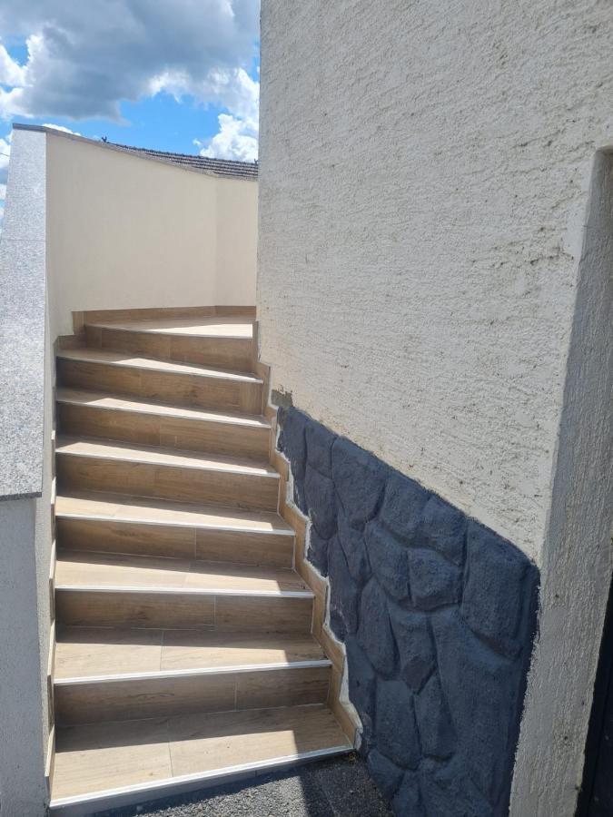 Apartman Ruzic Sveti Ivan Zabno 外观 照片
